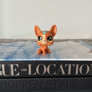 Littlest Pet Shop Authentic No # Nori Brown Lucky Boston Terrier Blue Paw LPS